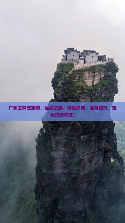 广州去西藏林芝旅游