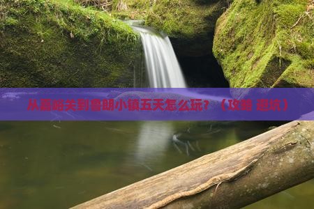 嘉峪关去西藏鲁朗小镇五日游