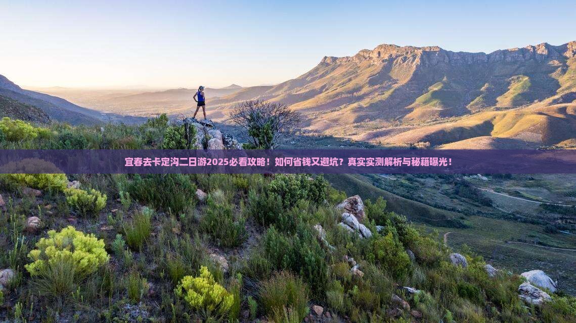 宜春去西藏卡定沟二日游