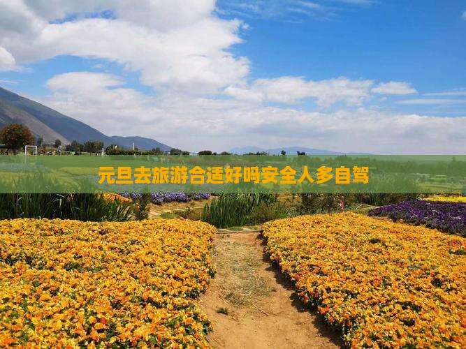 元旦去西藏旅游