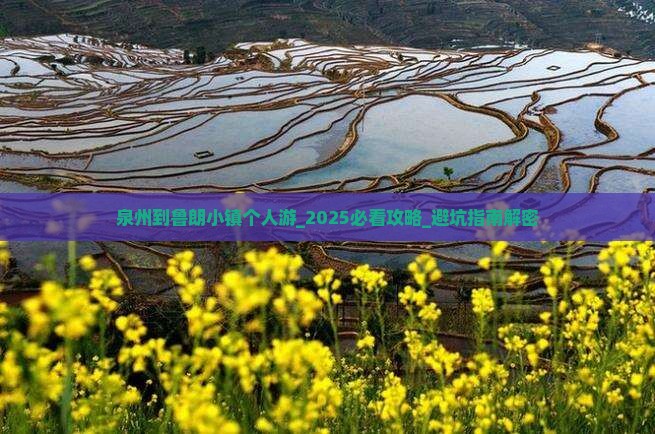 泉州到西藏鲁朗小镇个人游
