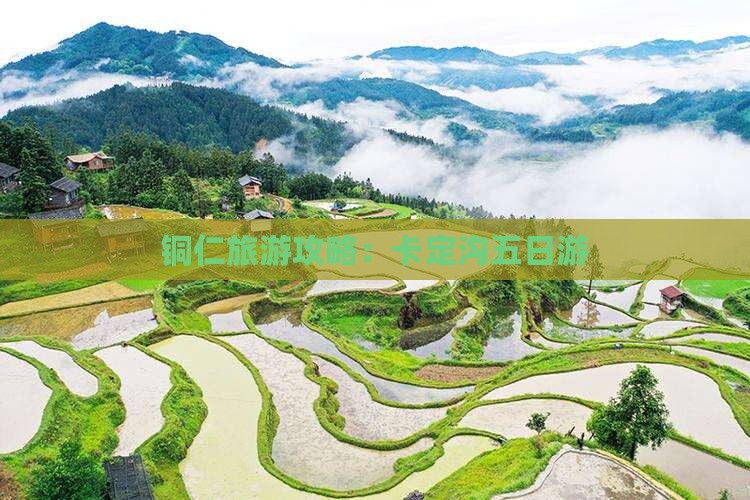 铜仁去西藏卡定沟五日游