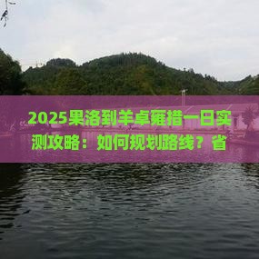 果洛到西藏羊卓雍措一日