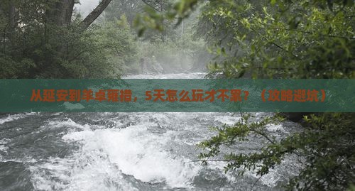 延安去西藏羊卓雍措哪里玩