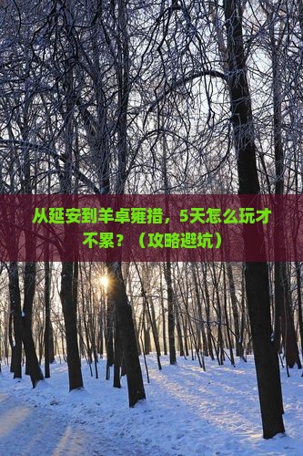 延安去西藏羊卓雍措哪里玩