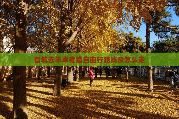 晋城去西藏羊卓雍措自由行