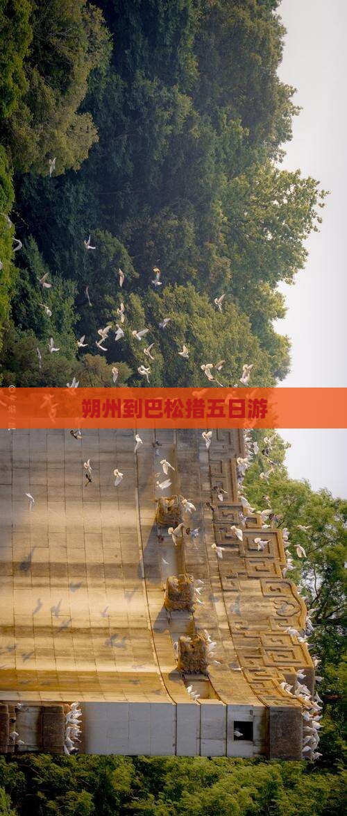 朔州到西藏巴松措五日游