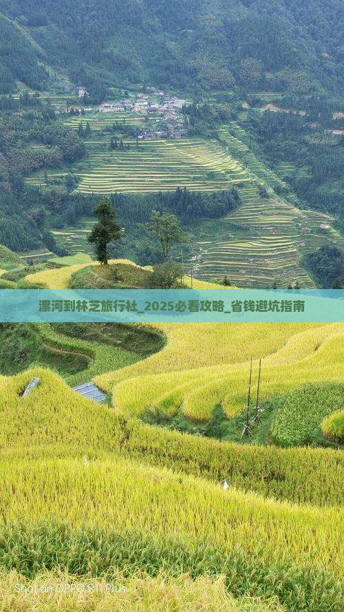 漯河到西藏林芝旅行社