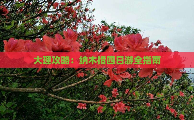 大理到西藏纳木措四日游