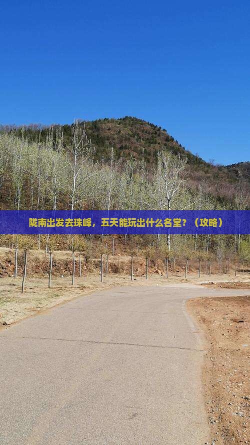 陇南到西藏珠峰大本营五日游