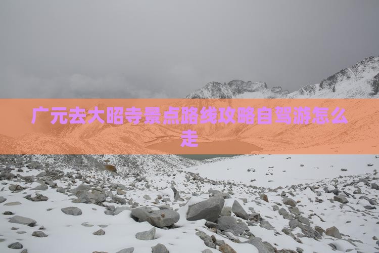 广元去西藏大昭寺景点