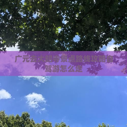广元去西藏大昭寺景点