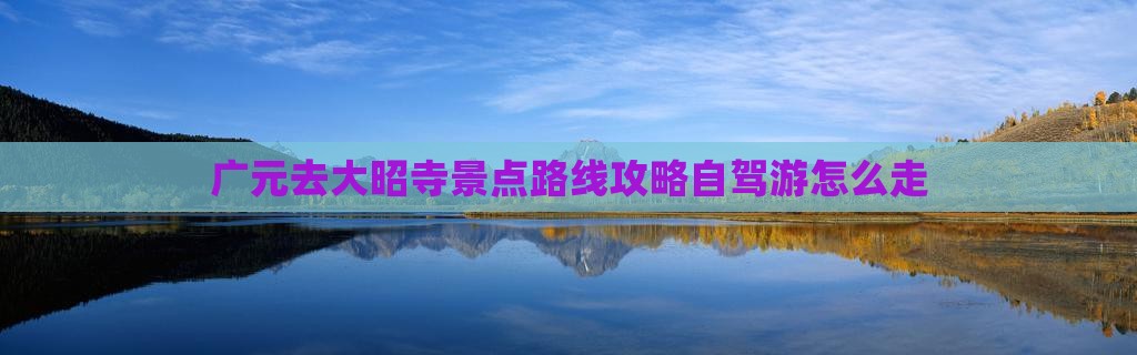 广元去西藏大昭寺景点