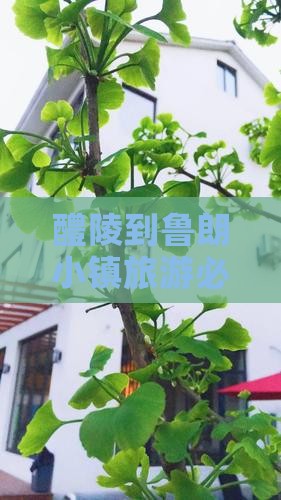 醴陵到西藏鲁朗小镇必去地