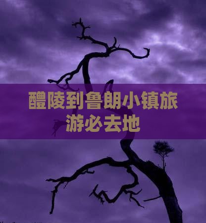 醴陵到西藏鲁朗小镇必去地