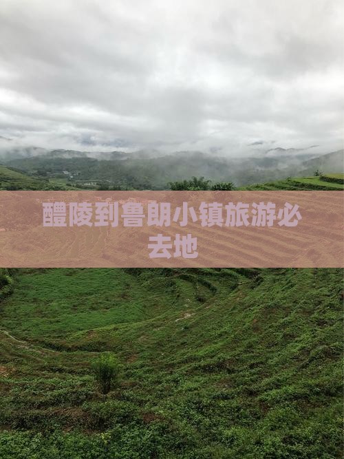 醴陵到西藏鲁朗小镇必去地