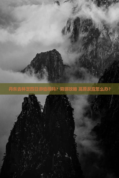 丹东去西藏林芝四日游
