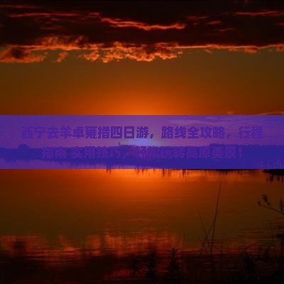 西宁去西藏羊卓雍措四日游