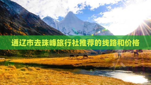 通辽市去西藏珠峰大本营旅行社