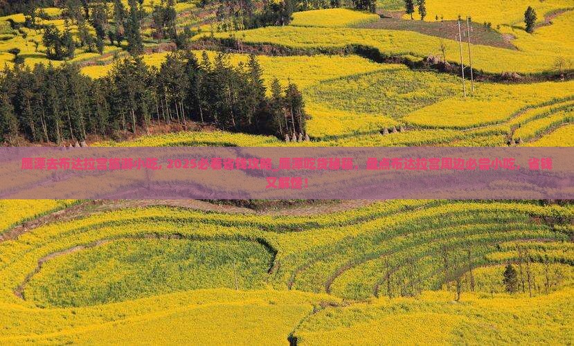 鹰潭去西藏布达拉宫旅游小吃
