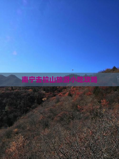 南宁去西藏色季拉山旅游小吃
