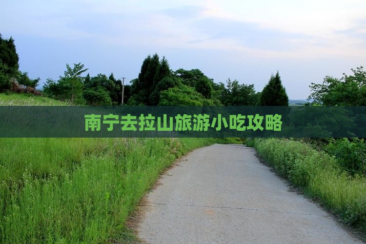 南宁去西藏色季拉山旅游小吃