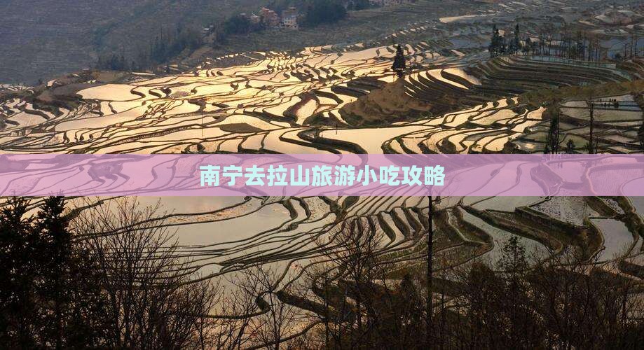 南宁去西藏色季拉山旅游小吃