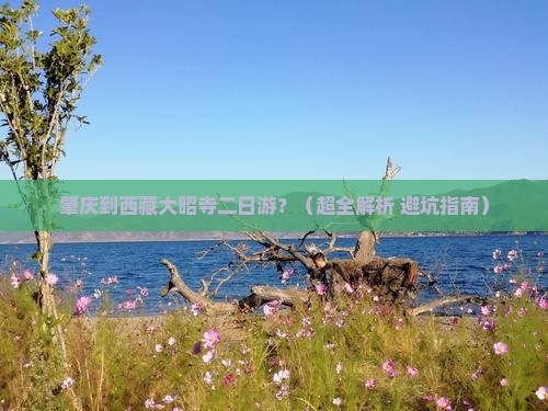 肇庆到西藏大昭寺二日游