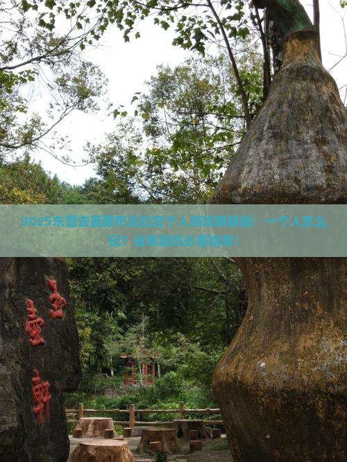东营去西藏布达拉宫个人游