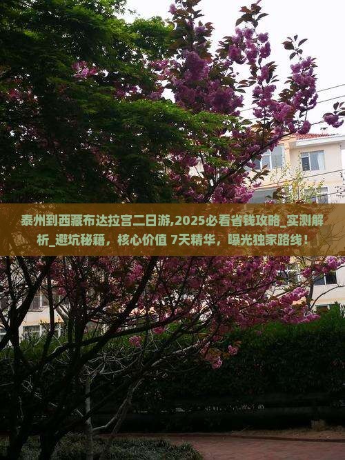 泰州到西藏布达拉宫二日游