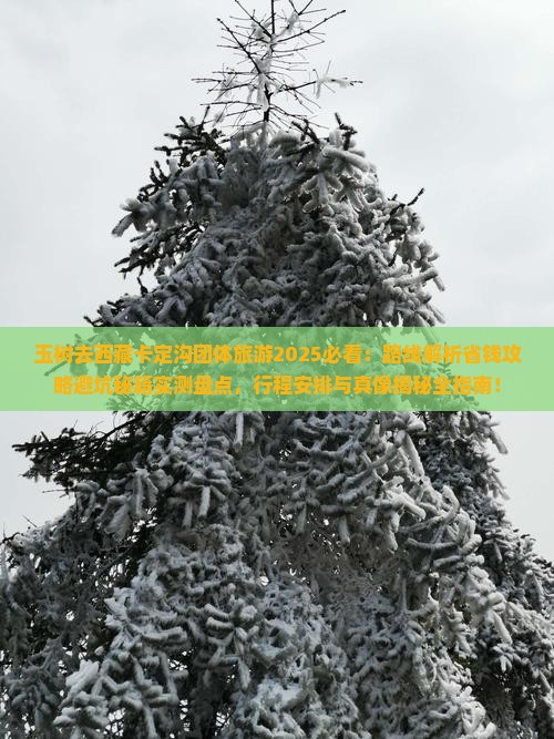 玉树去西藏卡定沟团体旅游