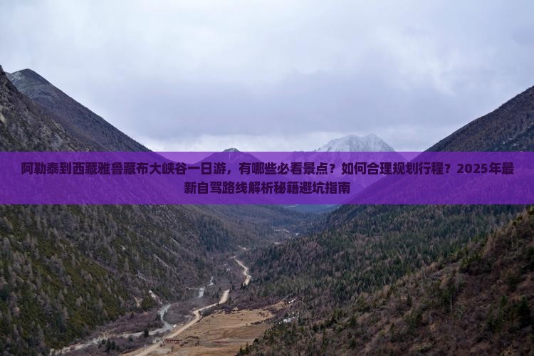 阿勒泰到西藏雅鲁藏布大峡谷一日