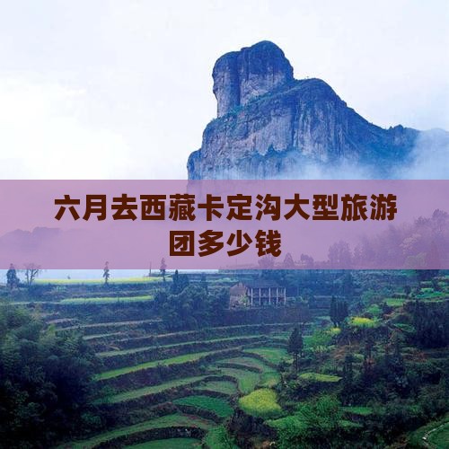 六月去西藏卡定沟大型旅游团