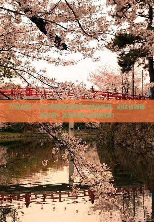 六安去西藏雅鲁藏布大峡谷大型旅游团