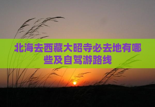 北海去西藏大昭寺必去地