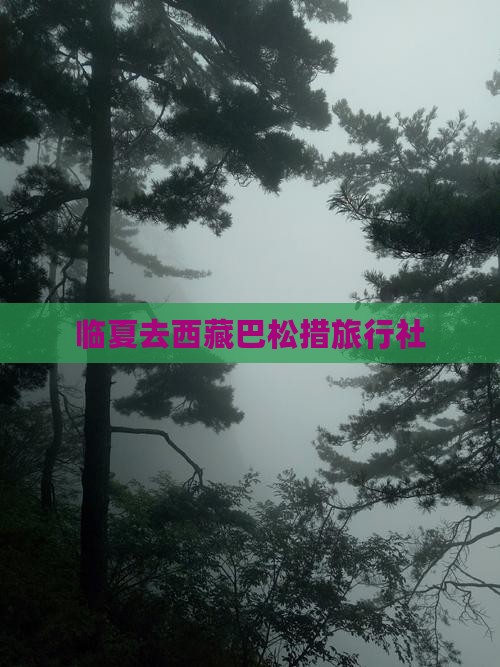 临夏去西藏巴松措旅行社