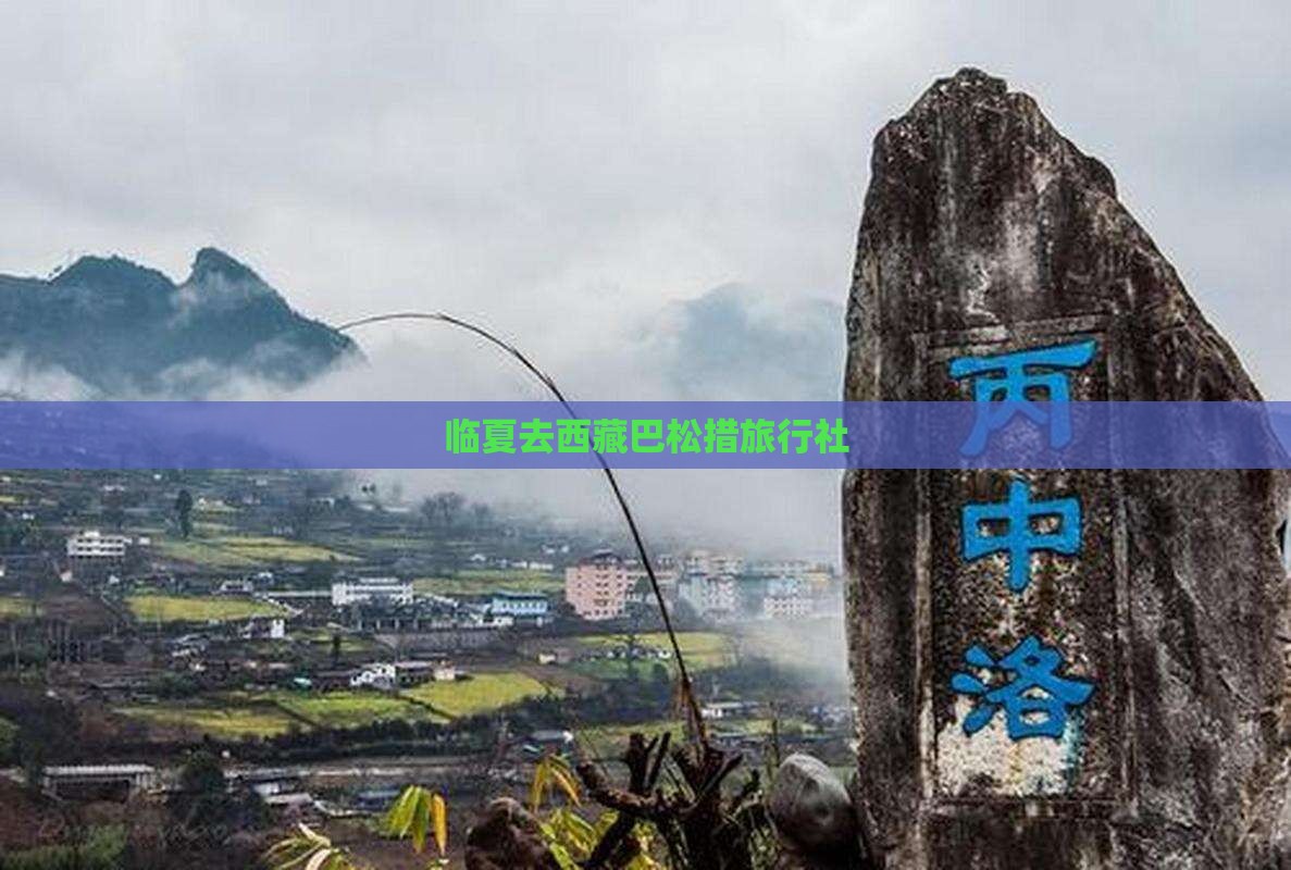临夏去西藏巴松措旅行社