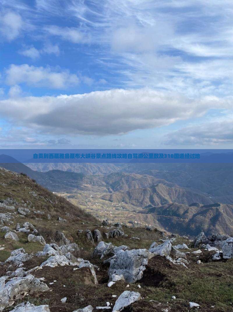 自贡到西藏雅鲁藏布大峡谷景点