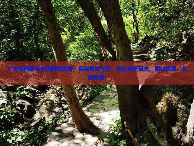 广安去西藏卡定沟团体旅游