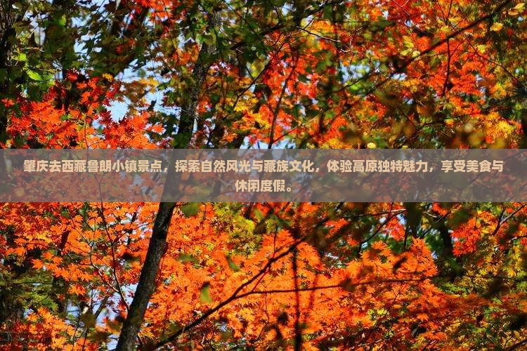 肇庆去西藏鲁朗小镇景点 肇庆去西藏鲁朗小镇景点