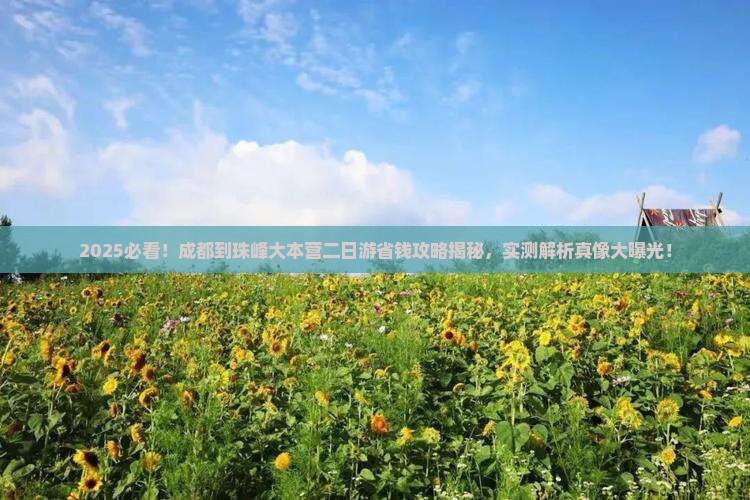 成都到西藏珠峰大本营二日游