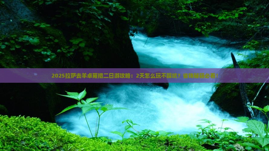 拉萨去西藏羊卓雍措二日游