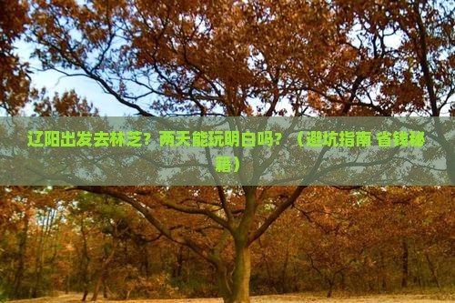 辽阳到西藏林芝二日游