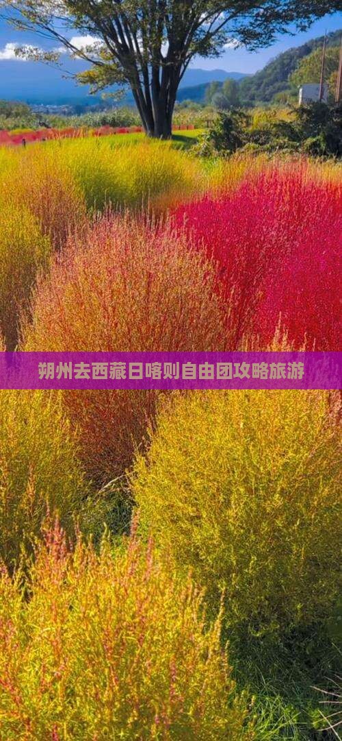 朔州去西藏日喀则自由团