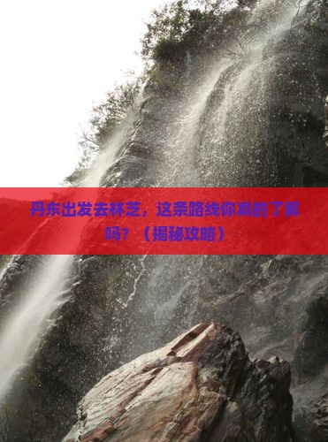 丹东到西藏林芝旅行社