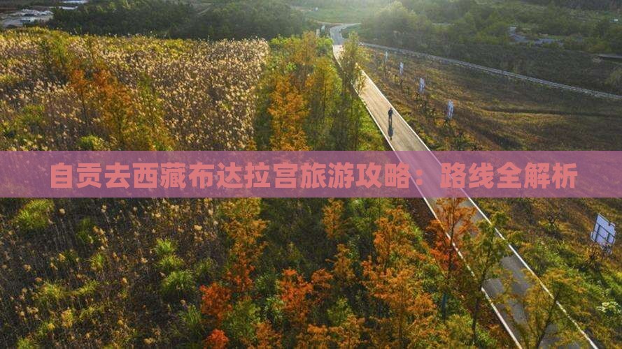 自贡去西藏布达拉宫景点 自贡去西藏布达拉宫景点