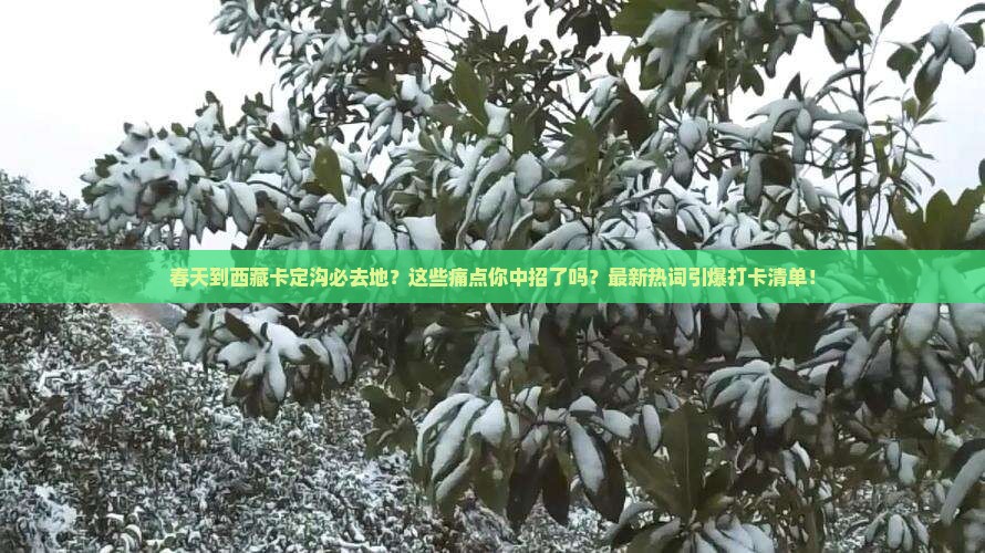 春天到西藏卡定沟必去地