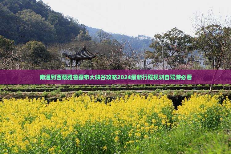 南通到西藏雅鲁藏布大峡谷攻略