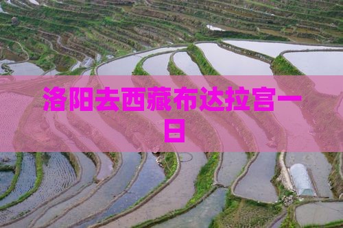 洛阳去西藏布达拉宫一日