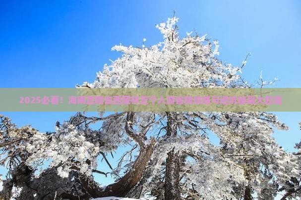 海南省直辖去西藏林芝个人游